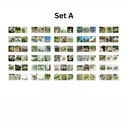Set A.zip - 1.webp