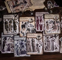 IMG_5006.webp