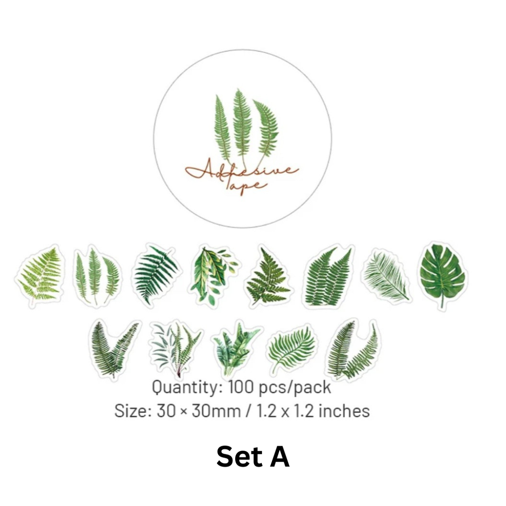 Set A.zip - 1.webp