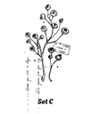 Title.zip - 3.webp